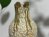 Kaametza Aretes Medusa Dorados de Plata 950 Enchapada en Oro 18k